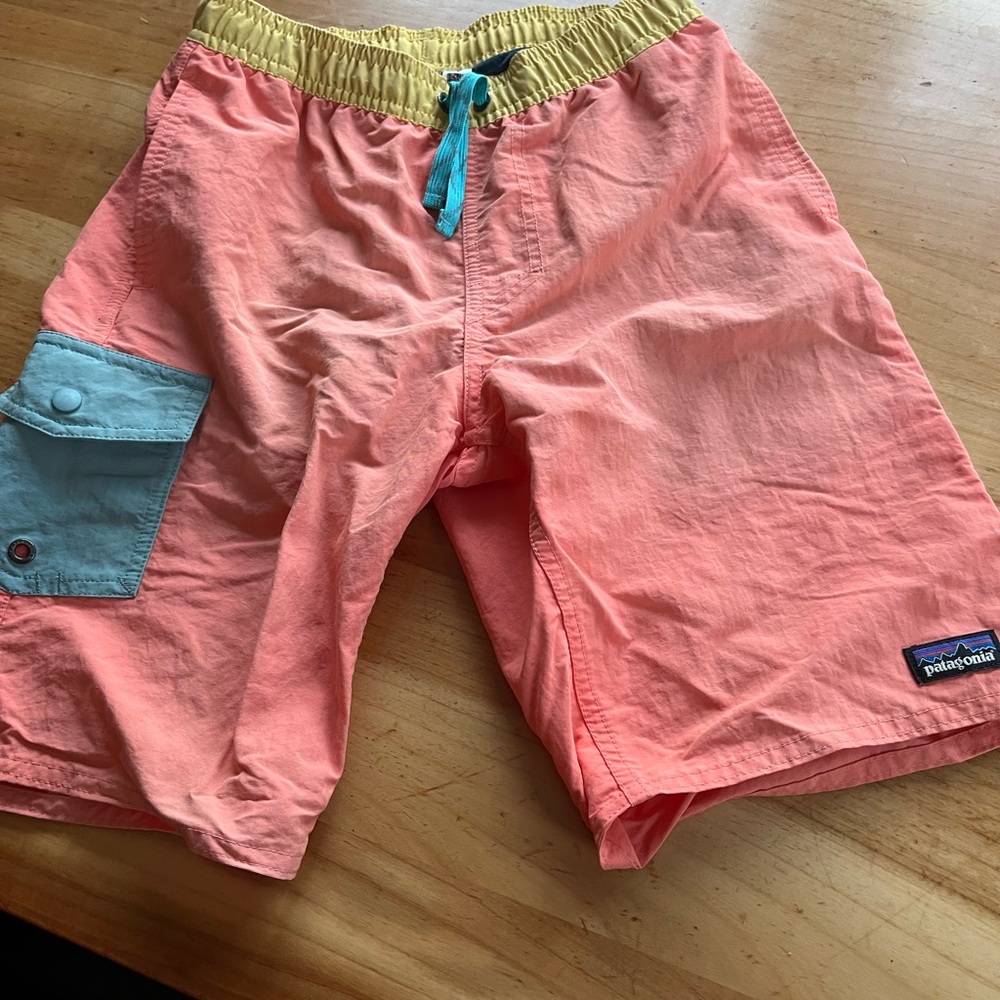 Patagonia Pink Shorts with Logo